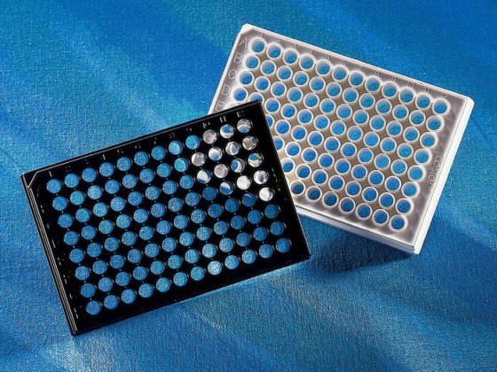Costar 3610 Assay Plate, 96 Well, With Lid 1 box/48 pcs